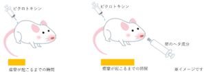 しゃっくり　柿のヘタの効果